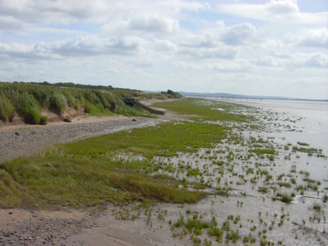 Saltmarsh and clay cliffs near old Liverpool airport