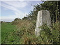 Trig Point on Baulker Lane