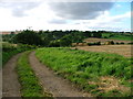 Public Bridleway Just Below Priestcrofts