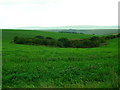 Ancient enclosure near Streathill Farm