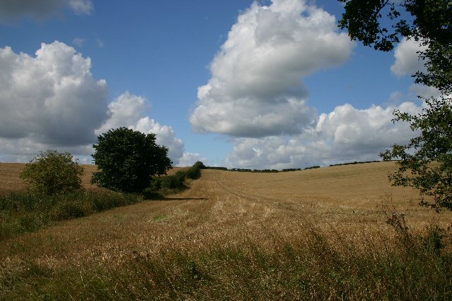 Cambridgeshire farmland, near Ashley