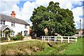 River Kennett at Dalham