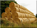 ST8580 : Straw Bales in Grittleton by Pam Brophy