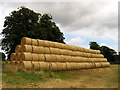 ST8580 : Farmland in Grittleton by Pam Brophy