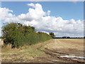 Hedge and footpath near Waldridge Manor