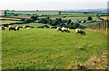 Stoodleigh: Rifton Moor