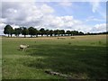 Farmland near Godstone