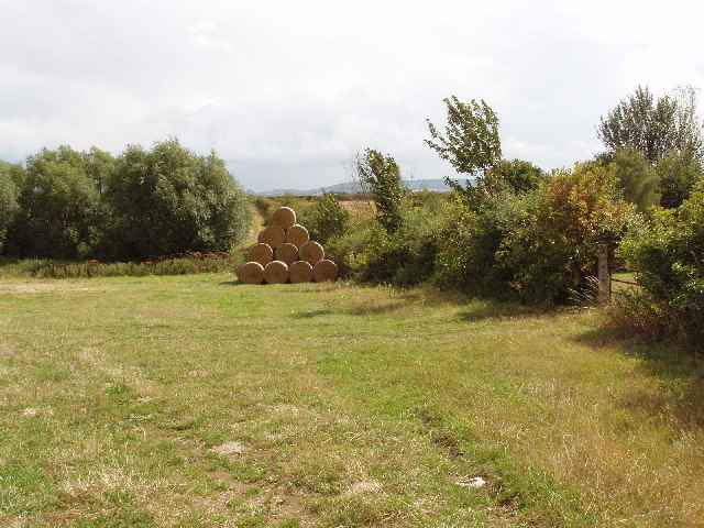 Pasture with a pile of straw bales, near Thame