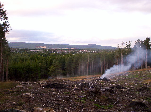 Wood Burning At Tilquhillie Woods