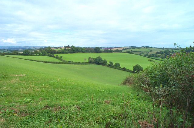 Fields near Marldon - South Devon © Richard Knights cc-by-sa/2.0 ...