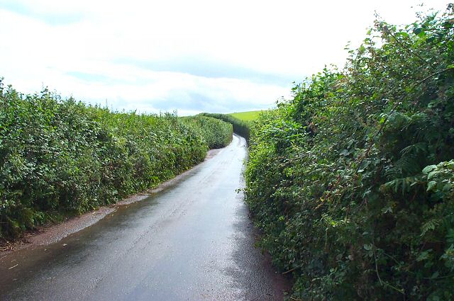 Devon country road