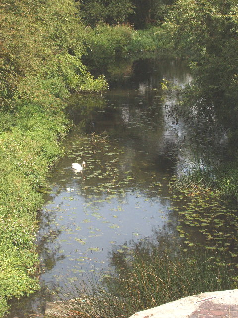 River Colne from Ebury Way, Watford © David Hawgood :: Geograph Britain ...