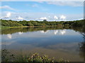 Great Pond, Epsom Common