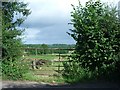 Fields east of Risbury