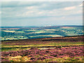 SE1245 : Menwith Hill from Ilkley Moor by David Spencer