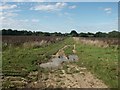 Footpath, East Carleton