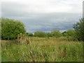 Brookhouse Community Woodland