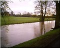 River Skerne in flood, April 2005