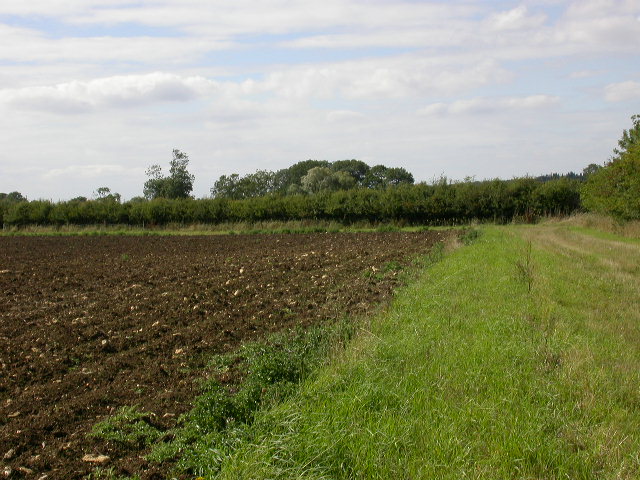 Hedge marking a Parish Boundary