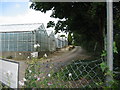 Glasshouses on Glaston Road, Uppingham