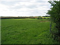 Fields near Uppingham