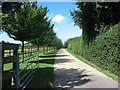 Driveway to Lady Bray Farm  Kennel Lane