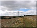 Pylons on West Down