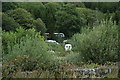 Panteidal Caravan Site, Aberdyfi