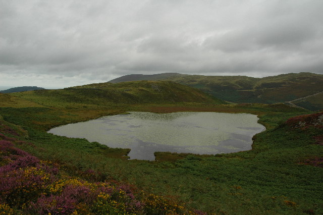 Llyn Barfog (Bearded Lake)