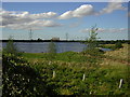 Looking north from Meadow Lane, Girton