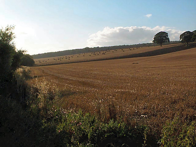 Stubble and straw bales east of Otley