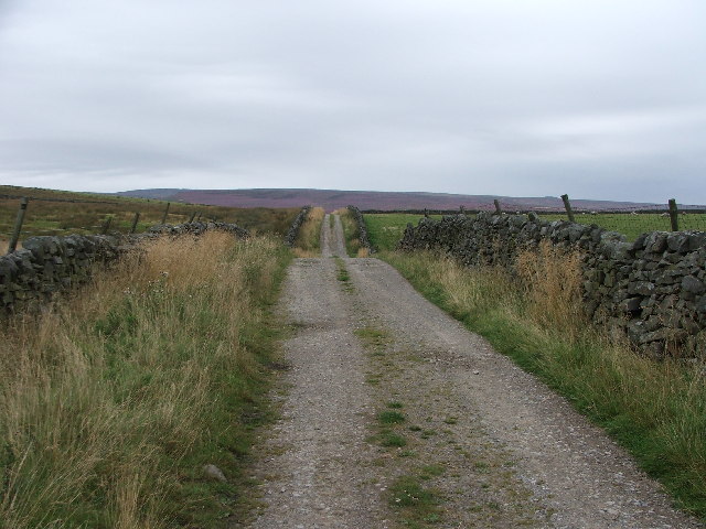 Hartlington Moor Lane