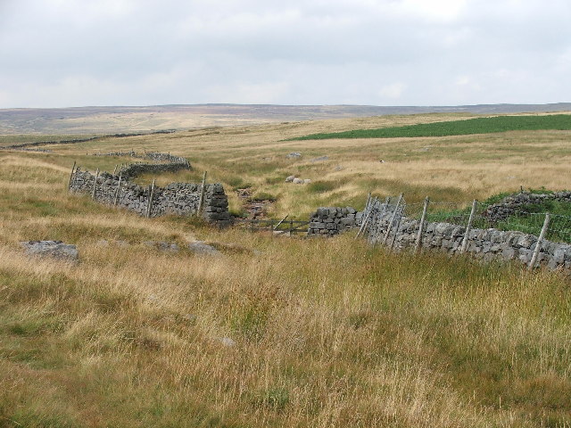 Gate at top of Blea Gill