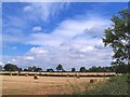 Harvest time on Trowell Moor