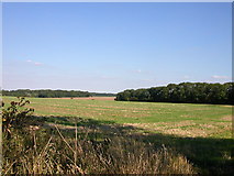 SP4572 : Cawston Farmland by Ian Rob