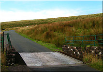 NY0508 : Cattle Grid, Cold Fell by Nigel Monckton