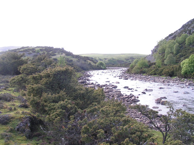 River Tees, Dine Holm Scar