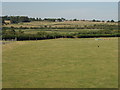 Fields near Notley Abbey