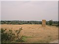 Field at Walcot