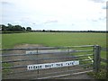 Sheep grazing at Frog Hall Farm