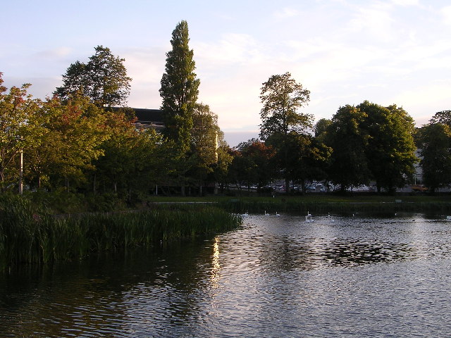 Bingham's Pond