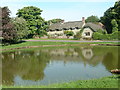 The Pond at Ashmore Village