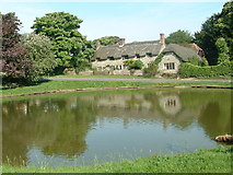 ST9117 : The Pond at Ashmore Village by John Smitten