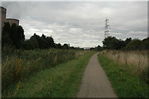 SJ5485 : Trans Pennine Trail between Warrington and Widnes by andy