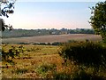 View Barlborough Low Common