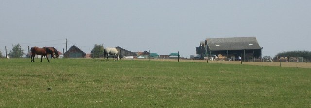 The Remus Memorial Horse Sanctuary