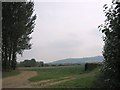 Fields near Pensham