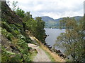 NY4019 : Long Crag, Ullswater by Dave Dunford