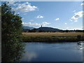 Wallace Monument from Kildean Market