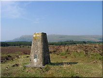NS5976 : Blairskaith Muir trig. point, East Dunbartonshire by Brian D Osborne